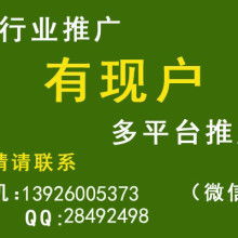 廣東百華公司 技術(shù)推廣服務(wù)的創(chuàng)新引領(lǐng)者與實(shí)踐典范